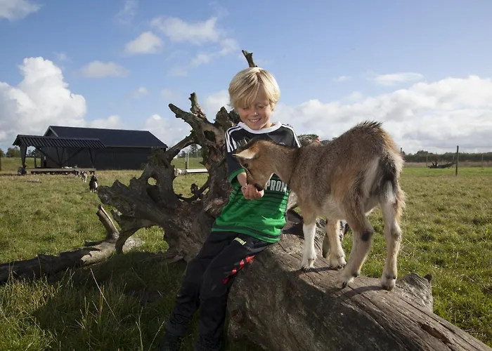 Lalandia Биллунн